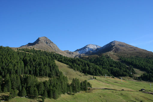 IMG_1338[1]