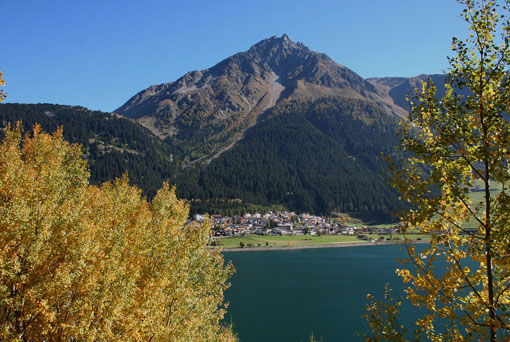 IMG_1524[3]