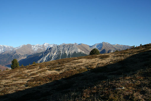 IMG_1784[3]