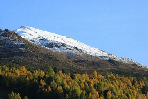 IMG_2308 (2)[3]